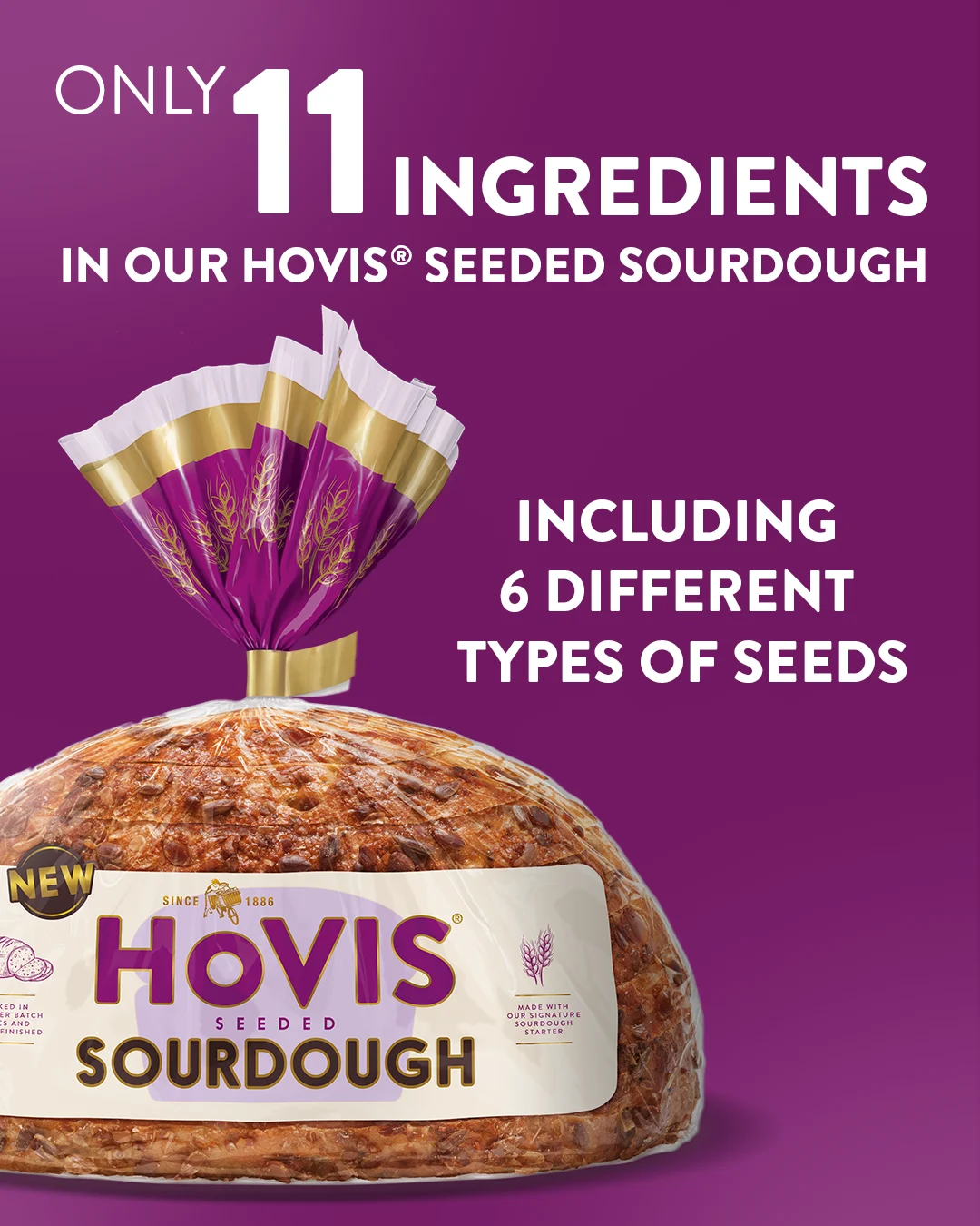 Only 11 ingredients in our hovis seeded sourdough
Including 6 different types of seeds