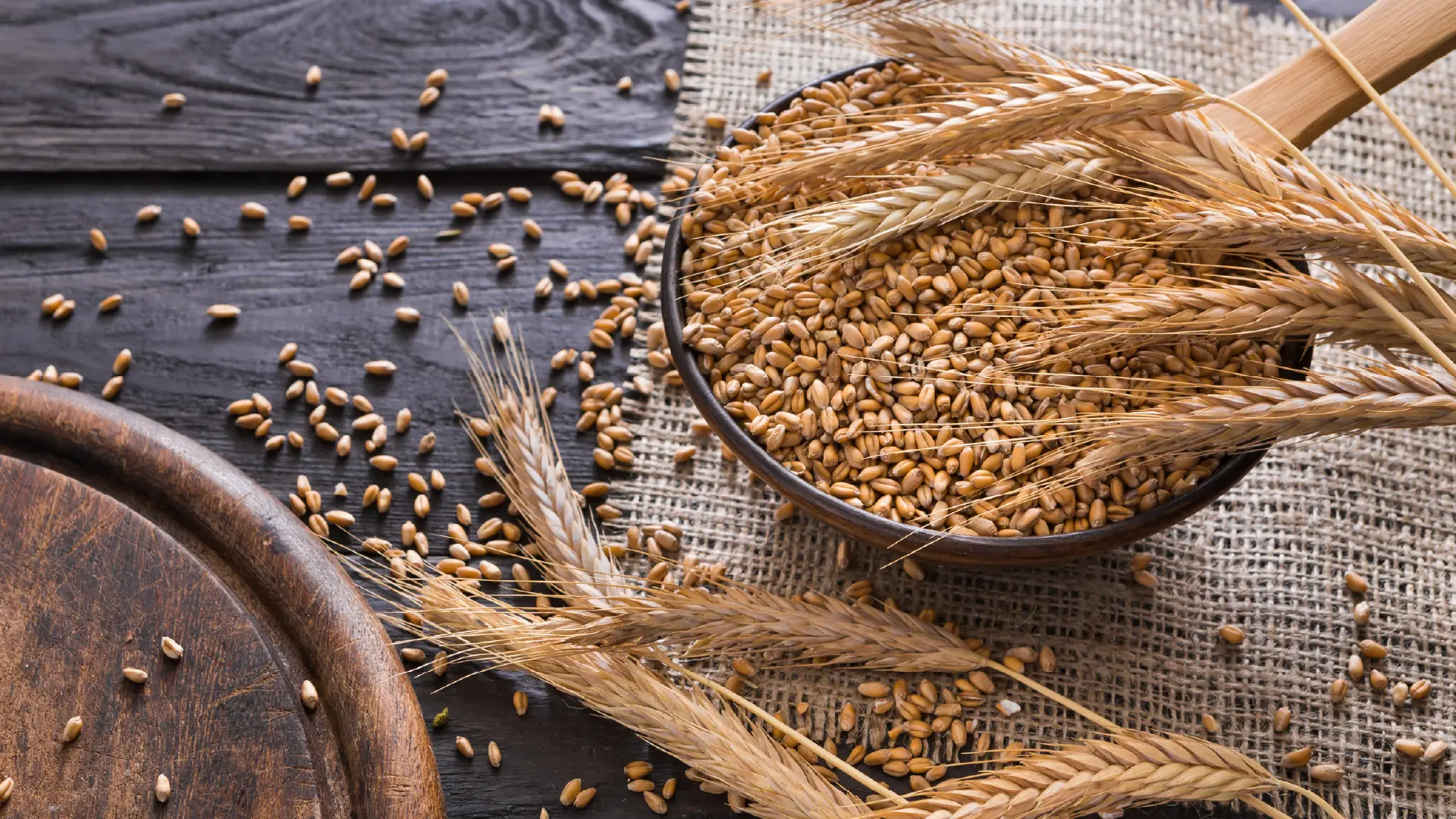 A rustic bowl filled with wheat grains and wheat stalks placed on a burlap cloth, with scattered grains on a dark wooden surface.