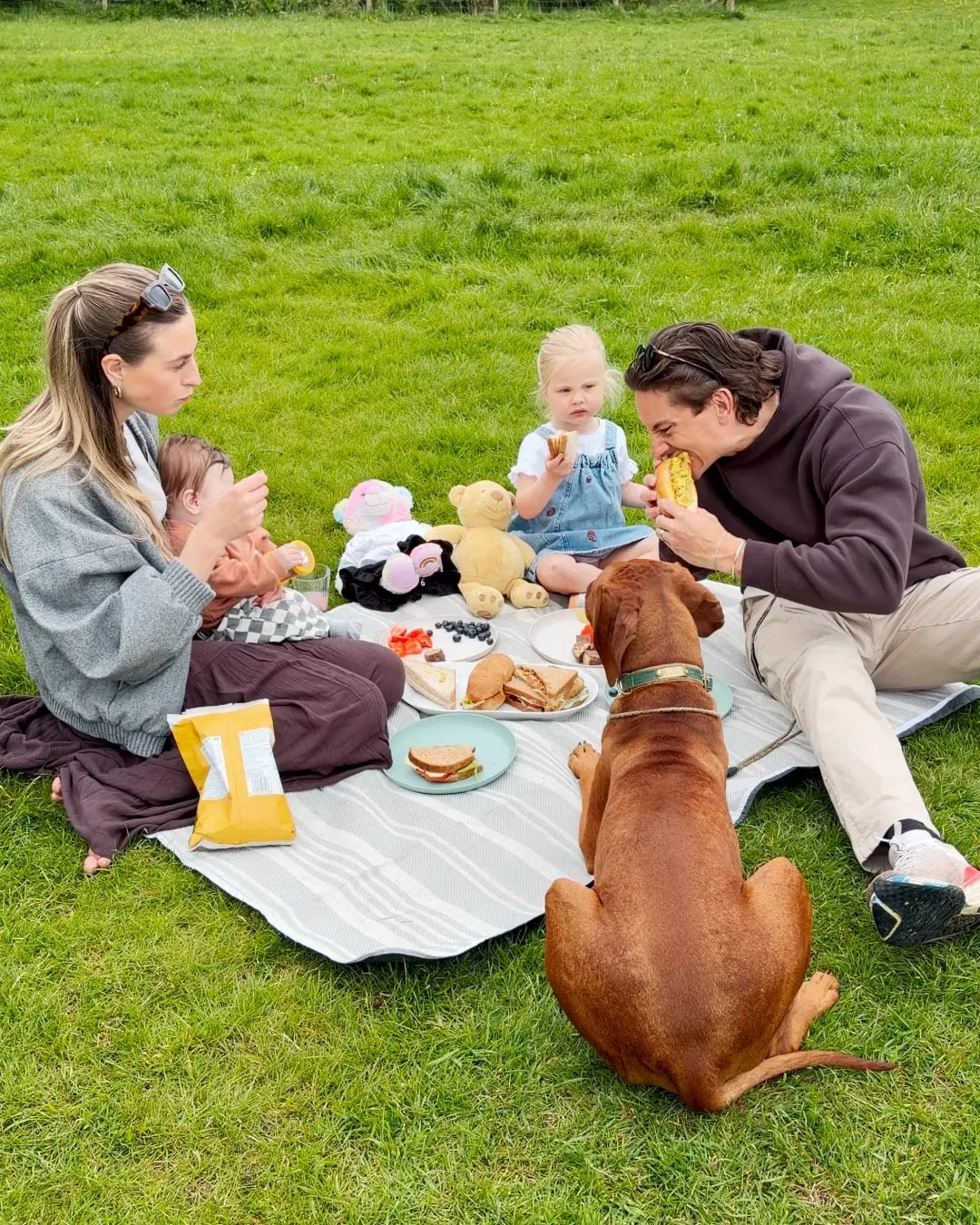 A family having a picnic on a grassy field with their dog, eating sandwiches and fruit on a striped blanket.